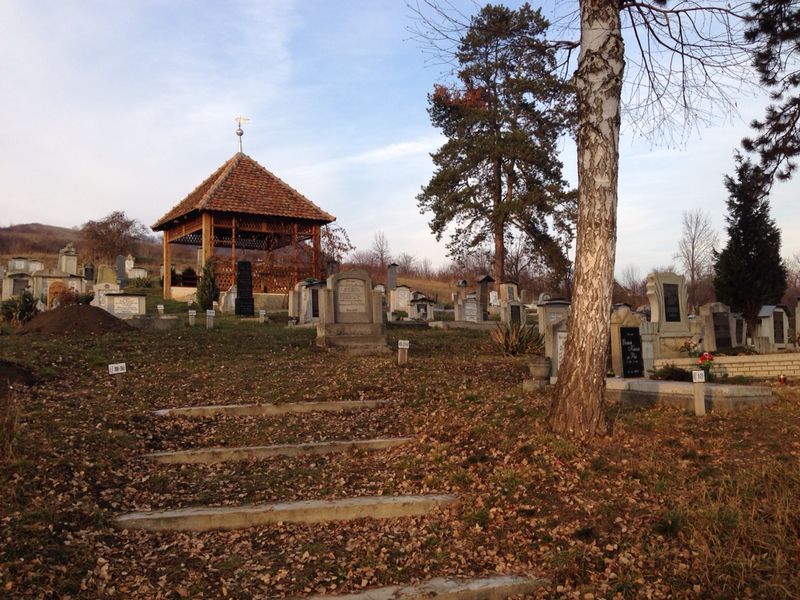 Image 11 of 37  -  134 kB